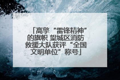 高擎“雷锋精神”的旗帜 望城区消防救援大队获评“全国文明单位”称号