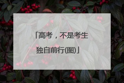 高考，不是考生独自前行(图)