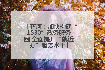 齐河：加快构建“1530”政务服务圈 全面提升“就近办”服务水平