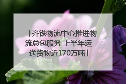 齐铁物流中心推进物流总包服务 上半年运送货物近170万吨