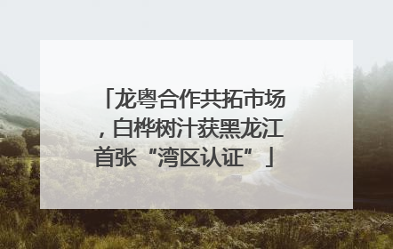龙粤合作共拓市场，白桦树汁获黑龙江首张“湾区认证”