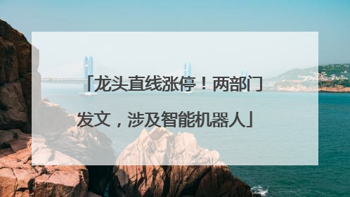 龙头直线涨停！两部门发文，涉及智能机器人