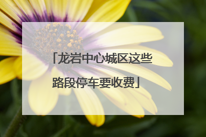 龙岩中心城区这些路段停车要收费