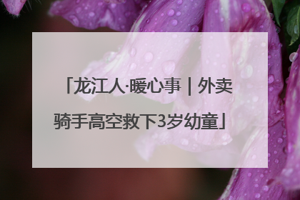 龙江人·暖心事｜外卖骑手高空救下3岁幼童