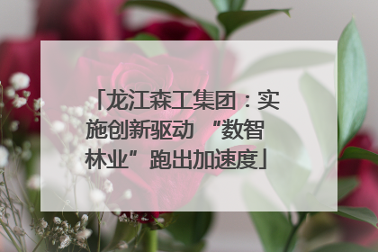 龙江森工集团：实施创新驱动 “数智林业”跑出加速度