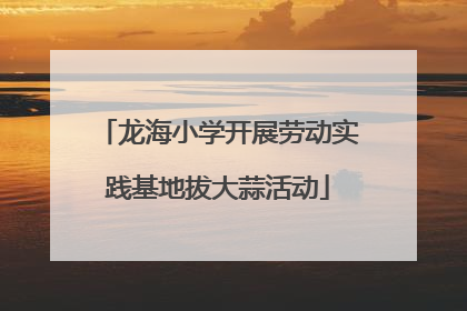 龙海小学开展劳动实践基地拔大蒜活动