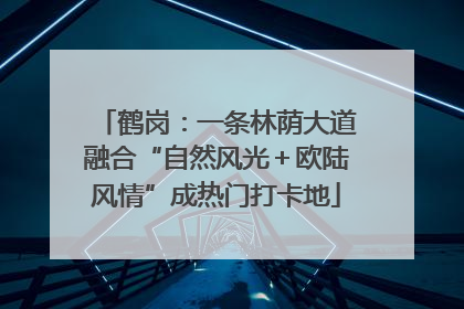 鹤岗：一条林荫大道融合“自然风光＋欧陆风情”成热门打卡地