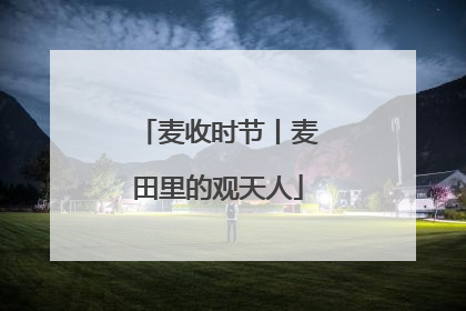 麦收时节丨麦田里的观天人
