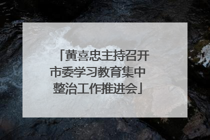 黄喜忠主持召开市委学习教育集中整治工作推进会