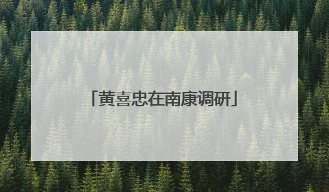 黄喜忠在南康调研