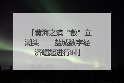 黄海之滨“数”立潮头——盐城数字经济崛起进行时