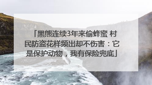 黑熊连续3年来偷蜂蜜 村民防盗花样频出却不伤害：它是保护动物，我有保险兜底