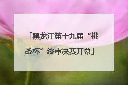 黑龙江第十九届“挑战杯”终审决赛开幕