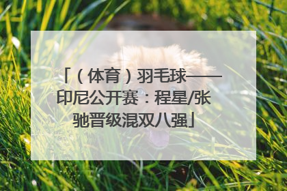 （体育）羽毛球——印尼公开赛：程星/张驰晋级混双八强