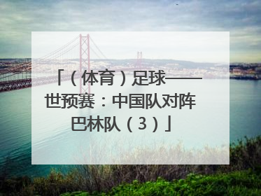 （体育）足球——世预赛：中国队对阵巴林队（3）