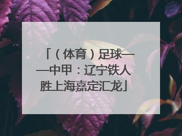 （体育）足球——中甲：辽宁铁人胜上海嘉定汇龙