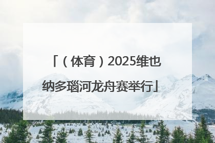 （体育）2025维也纳多瑙河龙舟赛举行