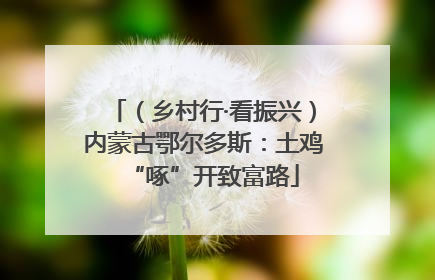 （乡村行·看振兴）内蒙古鄂尔多斯：土鸡“啄”开致富路