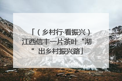 （乡村行·看振兴）江西信丰一片茶叶“沏”出乡村振兴路