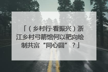 （乡村行·看振兴）浙江乡村弓箭馆何以靶向绘制共富“同心圆”？