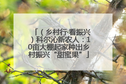 （乡村行·看振兴）科尔沁新农人：10亩大棚起家种出乡村振兴“甜蜜果”