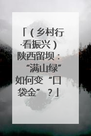 （乡村行·看振兴）陕西留坝：“满山绿”如何变“口袋金”？