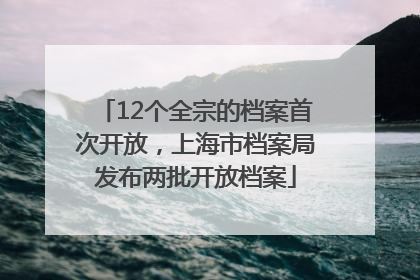12个全宗的档案首次开放，上海市档案局发布两批开放档案