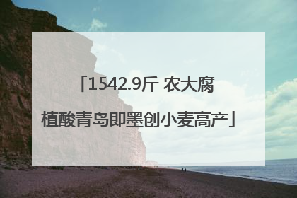 1542.9斤 农大腐植酸青岛即墨创小麦高产