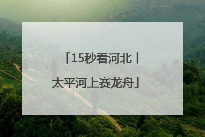 15秒看河北丨太平河上赛龙舟