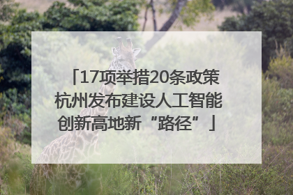 17项举措20条政策 杭州发布建设人工智能创新高地新“路径”