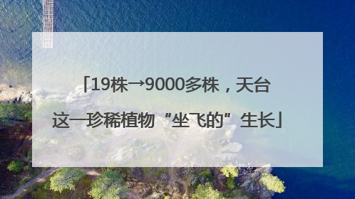19株→9000多株，天台这一珍稀植物“坐飞的”生长