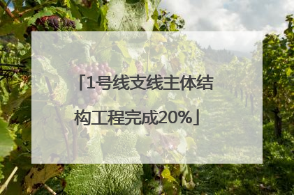 1号线支线主体结构工程完成20%