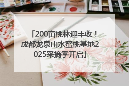 200亩桃林迎丰收！成都龙泉山水蜜桃基地2025采摘季开启