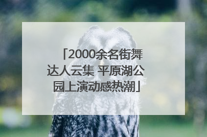 2000余名街舞达人云集 平原湖公园上演动感热潮