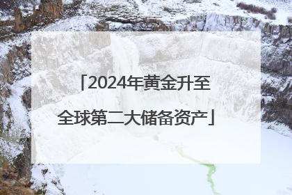 2024年黄金升至全球第二大储备资产