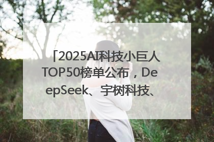 2025AI科技小巨人TOP50榜单公布，DeepSeek、宇树科技、蘑菇车联等企业荣誉上榜
