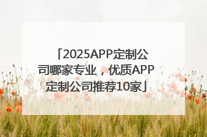 2025APP定制公司哪家专业，优质APP定制公司推荐10家