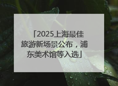2025上海最佳旅游新场景公布，浦东美术馆等入选