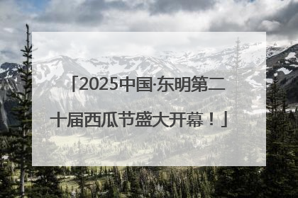 2025中国·东明第二十届西瓜节盛大开幕！