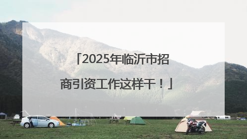2025年临沂市招商引资工作这样干！
