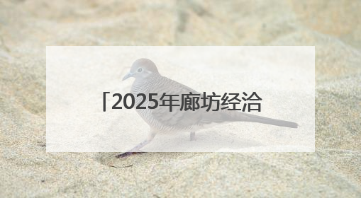2025年廊坊经洽会·深度｜降低物流成本，河北物流集团找到一把“金钥匙”