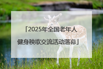 2025年全国老年人健身秧歌交流活动落幕