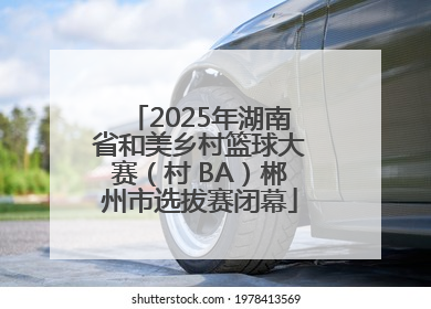 2025年湖南省和美乡村篮球大赛（村 BA）郴州市选拔赛闭幕