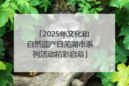 2025年文化和自然遗产日芜湖市系列活动精彩启幕