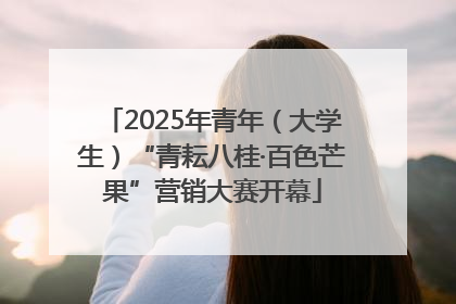 2025年青年（大学生）“青耘八桂·百色芒果”营销大赛开幕