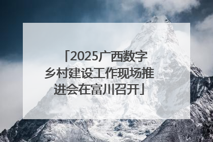 2025广西数字乡村建设工作现场推进会在富川召开