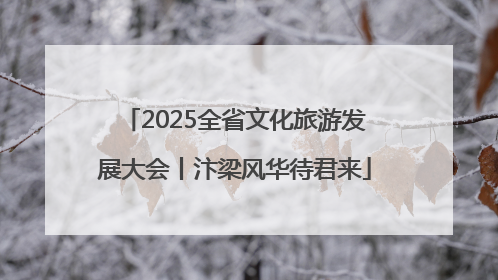 2025全省文化旅游发展大会丨汴梁风华待君来
