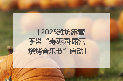 2025潍坊露营季暨“寿枣园·露营烧烤音乐节”启动
