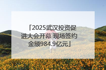 2025武汉投资促进大会开幕 现场签约金额984.9亿元