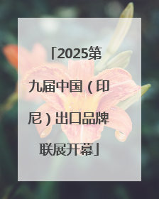 2025第九届中国（印尼）出口品牌联展开幕